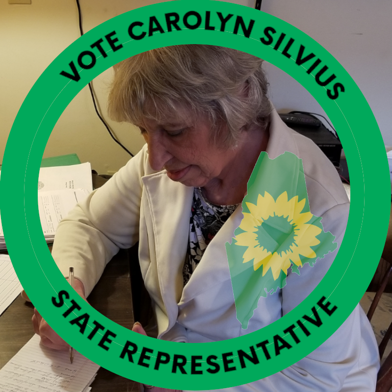 Carolyn Silvius, candidate for state representative, House District 42